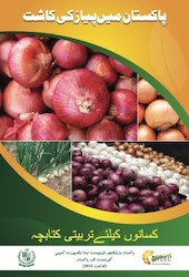 Onion Booklet