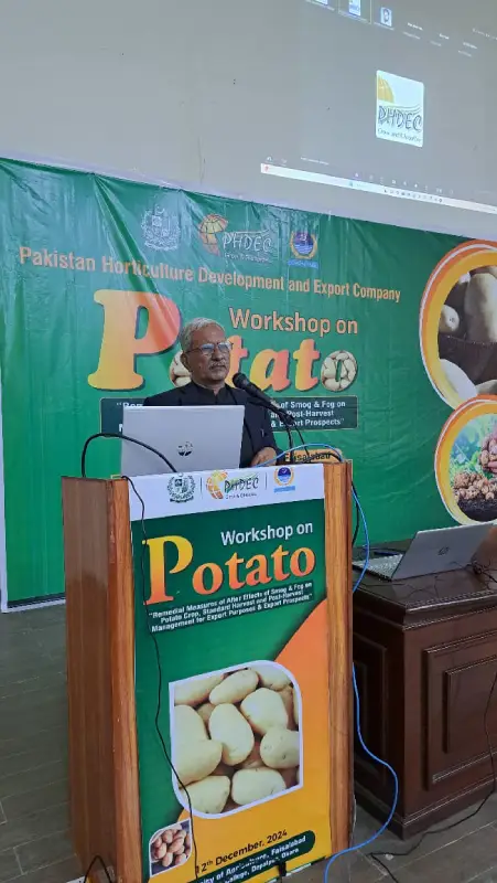 potato-workshop-okara-4
