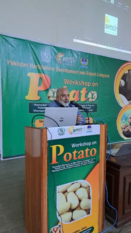 potato-workshop-okara-5