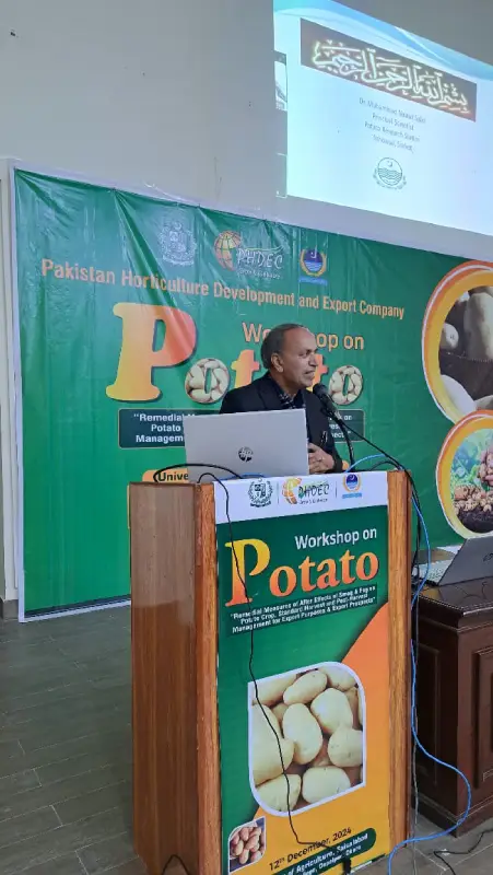potato-workshop-okara-6