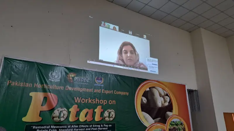 potato-workshop-okara-7