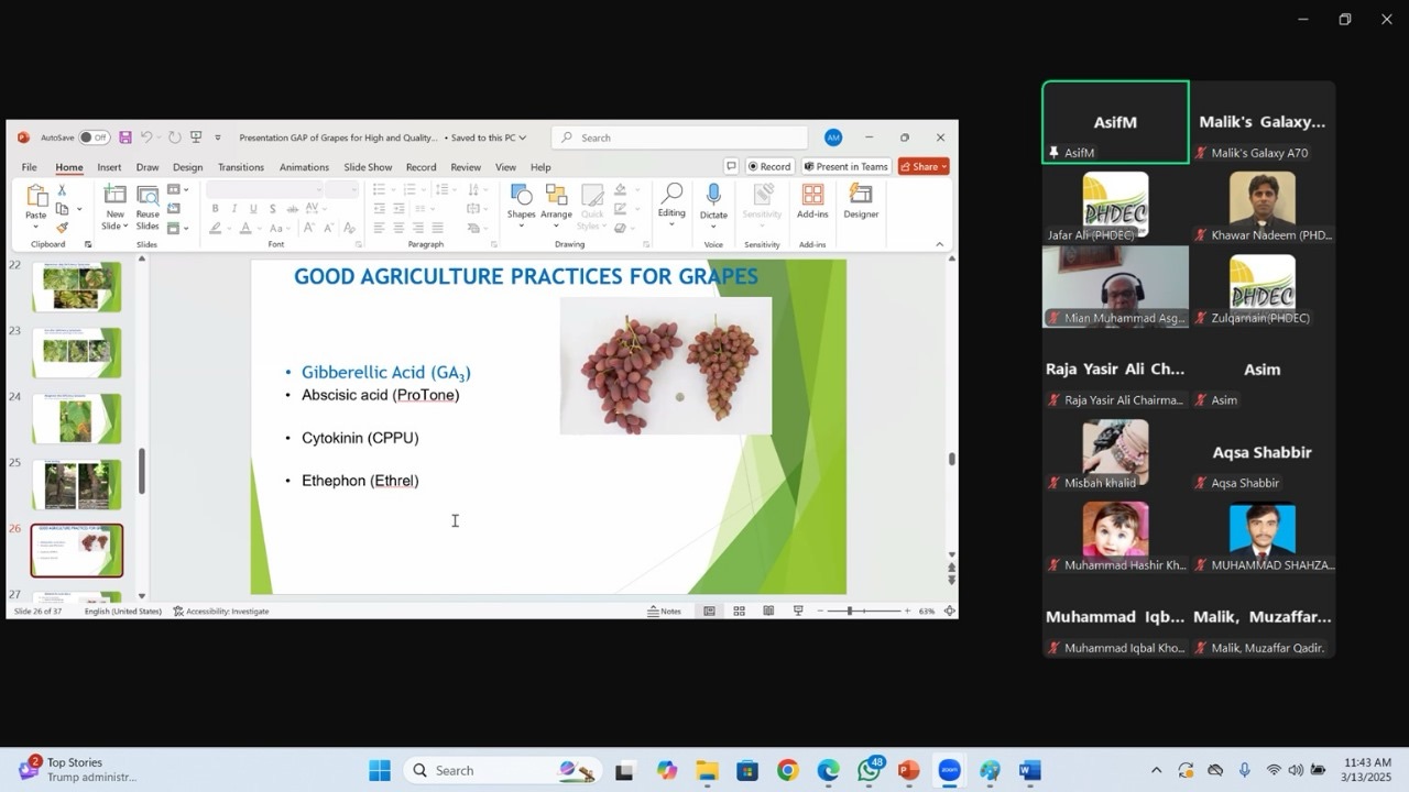 Grapes Orchard Management for Better Quality and High Yield