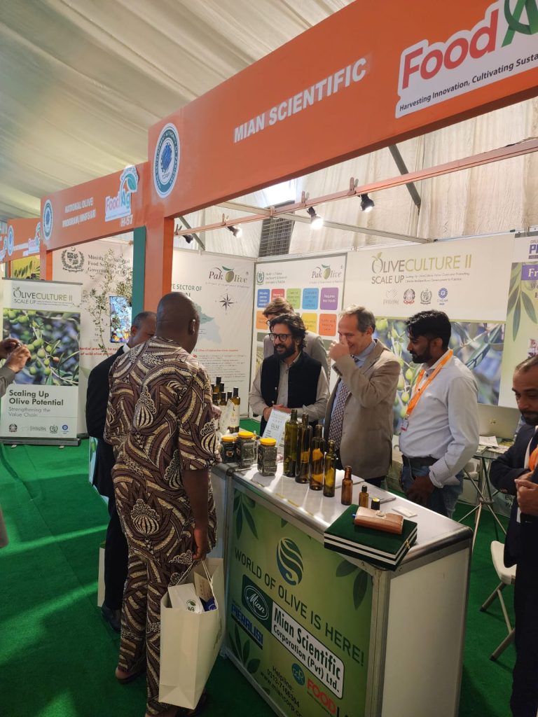 WhatsApp Image 2025-12-01 at 16.26.09_00cc064c