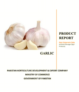 Product Garlic Report