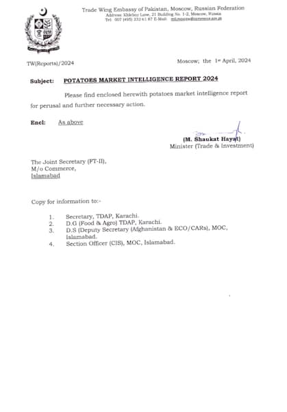 Potato Market Intelligence Report 2024