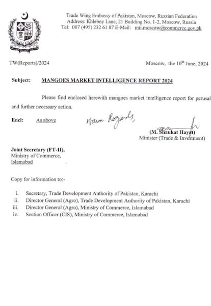 Market Intelligence Report On Mango 2024