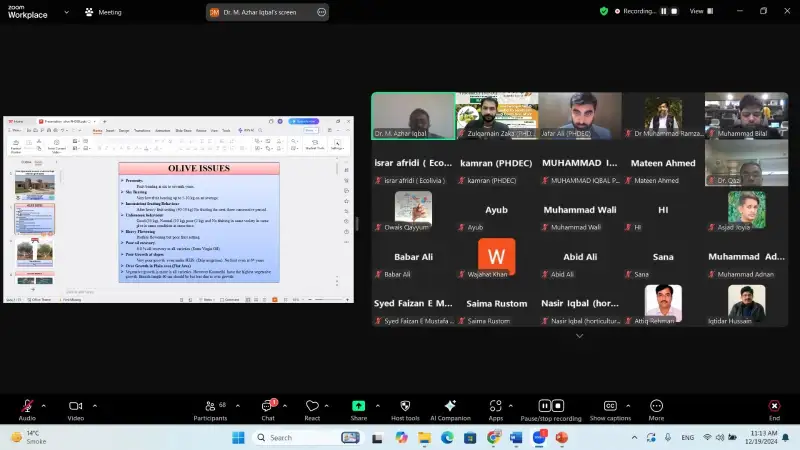 PHOTO-2024-12-19-14-23-08 4