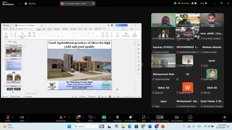 PHOTO-2024-12-19-14-23-09 3